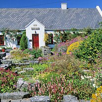 Garten mit Haus Garten mit Haus