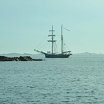 die Jantje vor Herm die Jantje vor Herm
