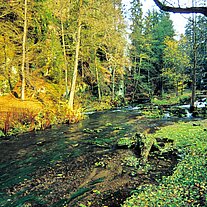 die Kamnitz die Kamnitz
