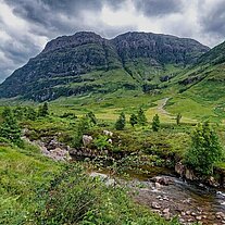 Glencoe Tal Glencoe Tal