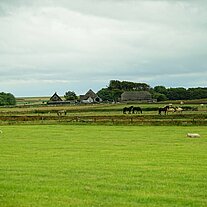 Gehöft und Pferde auf der Weide