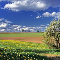 Nachmittag bei Pichlberg Nachmittag bei Pichlberg