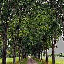 Radweg bei Schengen