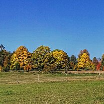 Indian Summer bei Thumsenreuth Indian Summer bei Thumsenreuth
