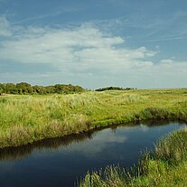 Wasserlauf in den Kobbeduinen Wasserlauf in den Kobbeduinen