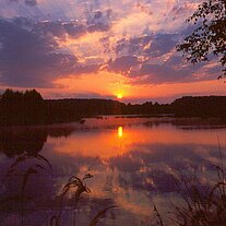 Sonnenaufgang am Rußweiher