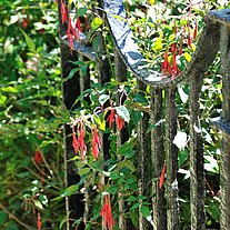 Gartentor mit Fuchsien Gartentor mit Fuchsien