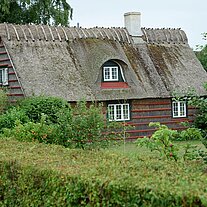 Reethaus mit Hecke und Garten Reethaus mit Hecke und Garten