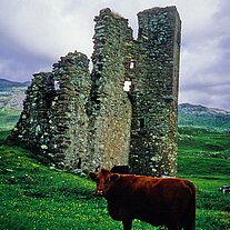Kuh am Ardvreck Castle Kuh am Ardvreck Castle