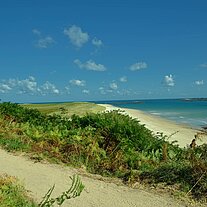 The Shell Beach The Shell Beach