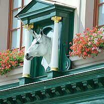 Einhorn Apotheke in Klattau Einhorn Apotheke