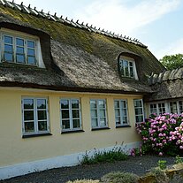 Reet gedecktes Haus mit Pflanzen Reet gedecktes Haus mit Pflanzen