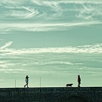 Paar mit Hund am Abend am Kai Paar mit Hund am Abend am Kai