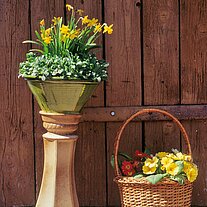 Stilleben an der Schweinestalltür