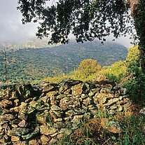 Mauer am Weg Mauer am Weg