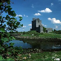 Dunguaire Castle Dunguaire Castle