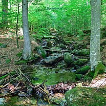 Mittelsteigbach Mittelsteigbach