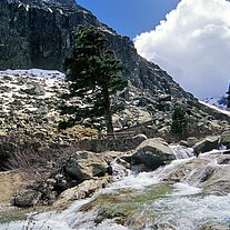 Wildwasser Restonica Wildwasser Restonica