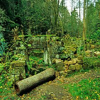 Ruine der Grundmühle Ruine der Grundmühle