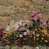 Blumenpracht mit Granitmauer Blumenpracht mit Granitmauer