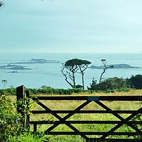 Weide mit Bäumen und Meer Weide mit Bäumen und Meer
