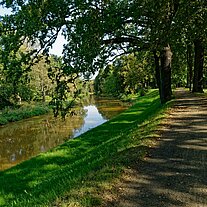 Allee an der Spree Allee an der Spree