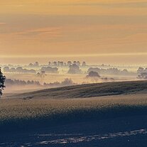 Morgennebel über Rapsfeldern Morgennebel über Rapsfeldern