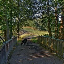 Brücke über den Grenzbach mit Leo Brücke über den Grenzbach mit Leo