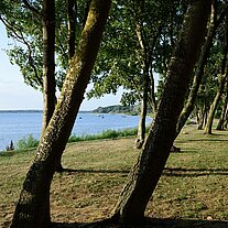 Strand am Bodden von Wiek Strand am Bodden von Wiek