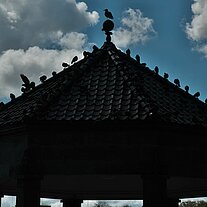 Pavillon mit Tauben Silhouette Pavillon mit Tauben Silhouette