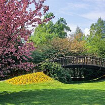 japanische Holzbrücke auf der Mainau japanische Holzbrücke