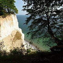 Wald bis an die Kippen von Møn (Møns Klint) Wald bis an die Kippen von Møn (Møns Klint)