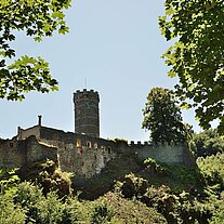 Burg Hauenstein vom Arboretum aus