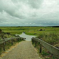 Weg durch die Dünen Weg durch die Dünen