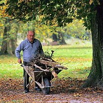 alter Mann mit Holz im Schubkarrn alter Mann mit Holz im Schubkarrn
