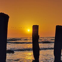 Vögel kreuzen den Sonnenaufgang Kap Arkona