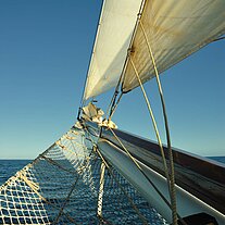 Blick aus dem Klüvernetz