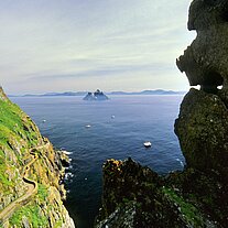 Skellig Michael Möwe und Weg zum Kloster