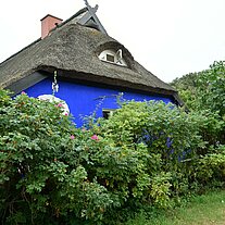 die Blaue Scheune die Blaue Scheune