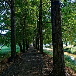 Radweg Allee Radweg Allee