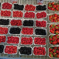 Spezialitäten aus dem Spreewald Spezialitäten aus dem Spreewald