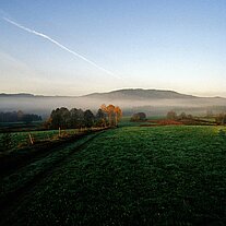 am Morgen bei Brandten
