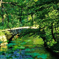 der Schwemmkanal der Schwemmkanal