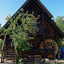 Mühle Mühle