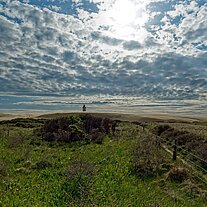 Ausblick zum Rudjerg Knude Fyr