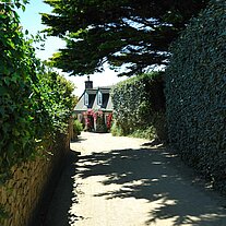 Straße auf Little Sark Straße auf Little Sark