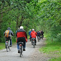 mit dem Rad durch Eichenwälder Terschellings mit dem Rad durch Eichenwälder Terschellings