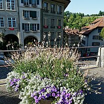 Grünschmuck Grünschmuck