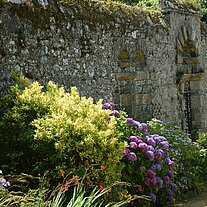 Mauer mit Bepflanzung