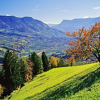 Blick von den Mutlechner Höfen nach Meran Blick von den Mutlechner Höfen nach Meran